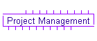 Project Management